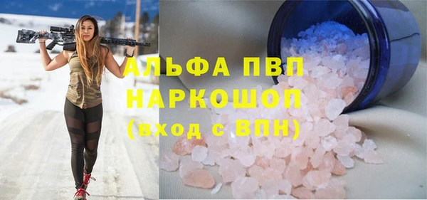 гашик Горняк