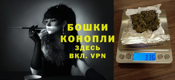 гашик Горняк