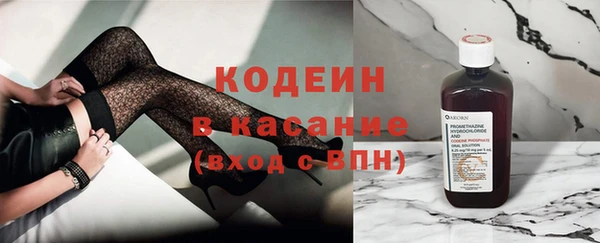 гашик Горняк