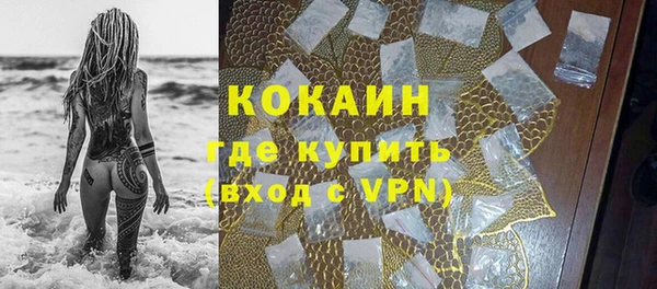 гашик Горняк