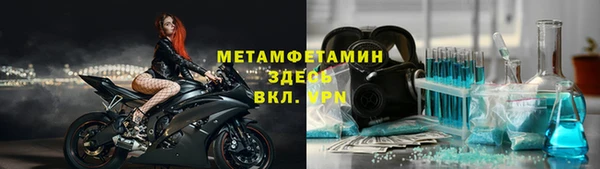 индика Вяземский