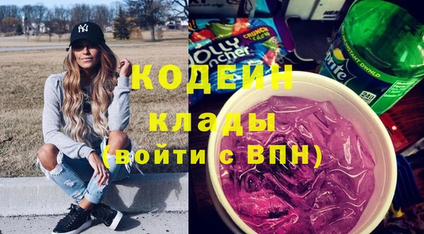 гашик Горняк