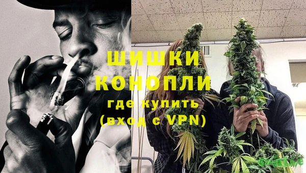 МДПВ Горнозаводск