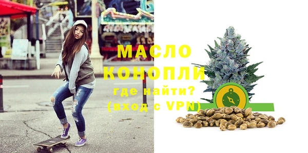 гашик Горняк